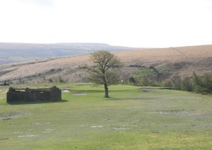 Hole 6 and 15